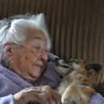 bedridden senior citizen with dog