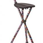 cane with attached folding stool
